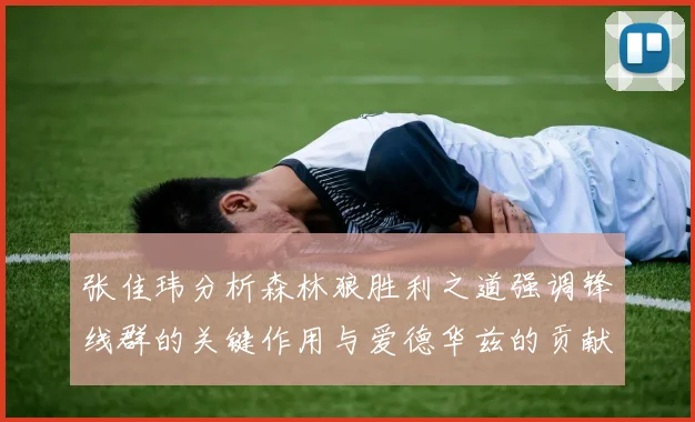 张佳玮分析森林狼胜利之道强调锋线群的关键作用与爱德华兹的贡献