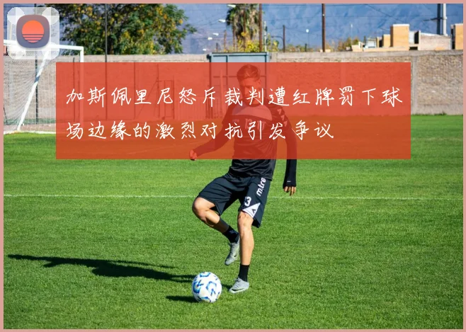 加斯佩里尼怒斥裁判遭红牌罚下球场边缘的激烈对抗引发争议