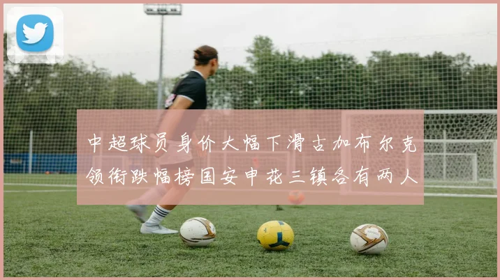 中超球员身价大幅下滑古加布尔克领衔跌幅榜国安申花三镇各有两人上榜