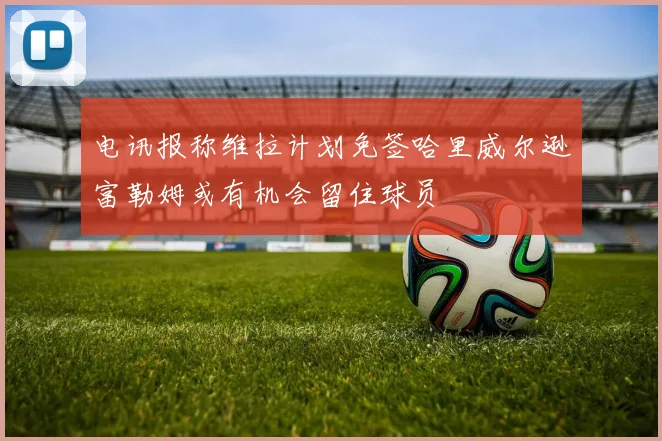 电讯报称维拉计划免签哈里威尔逊富勒姆或有机会留住球员