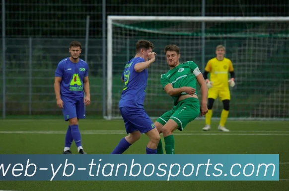 天博体育平台生态图